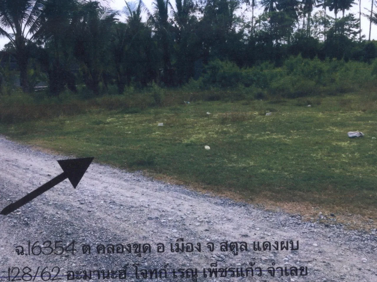 ขายทอดตลาด ที่ดินว่างเปล่า ต.คลองขุด อ.เมืองสตูล จ.สตูล