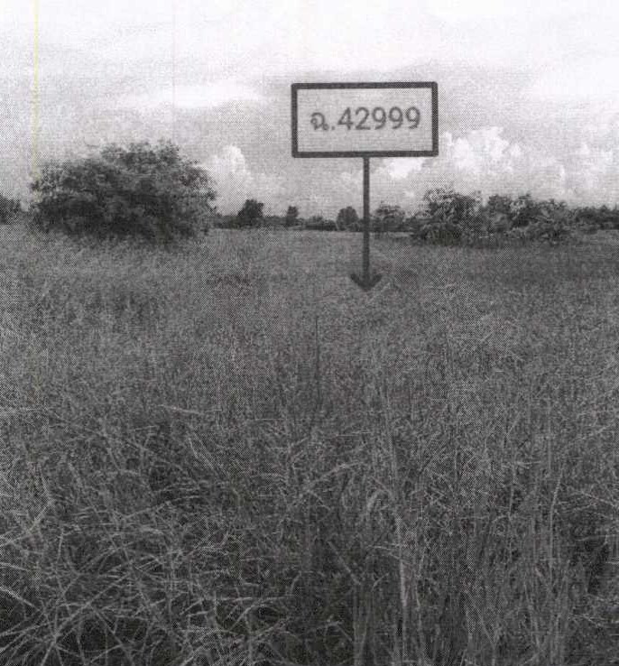 ขายทอดตลาด ที่ดินว่างเปล่า ต.โพนทอง อ.หนองแค จ.สระบุรี