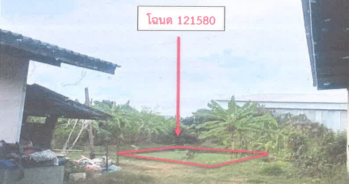 ขายทอดตลาด ที่ดินว่างเปล่า ต.นาดี อ.เมืองสมุทรสาคร จ.สมุทรสาคร