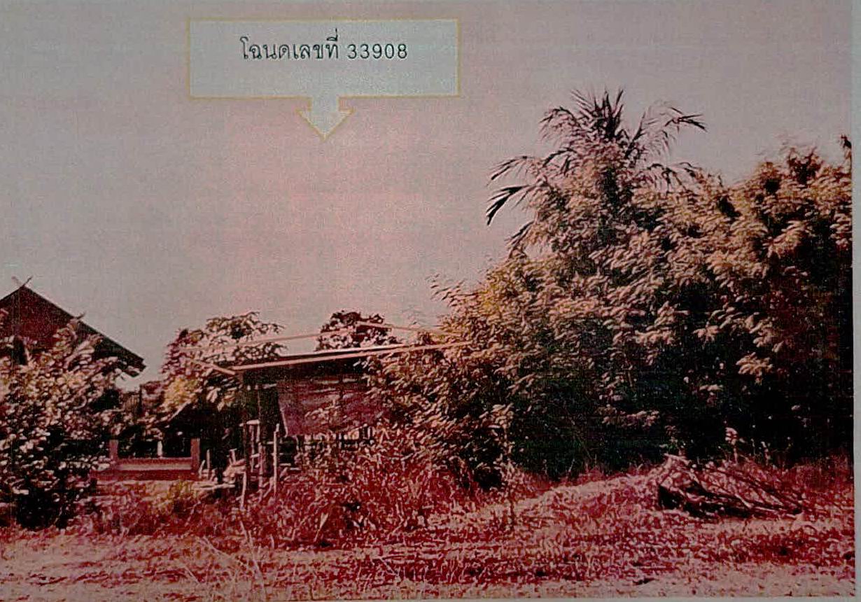 ขายทอดตลาด ที่ดินพร้อมสิ่งปลูกสร้าง ต.เชื้อเพลิง อ.ปราสาท จ.สุรินทร์