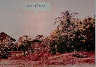 รูปทรัพย์ 1