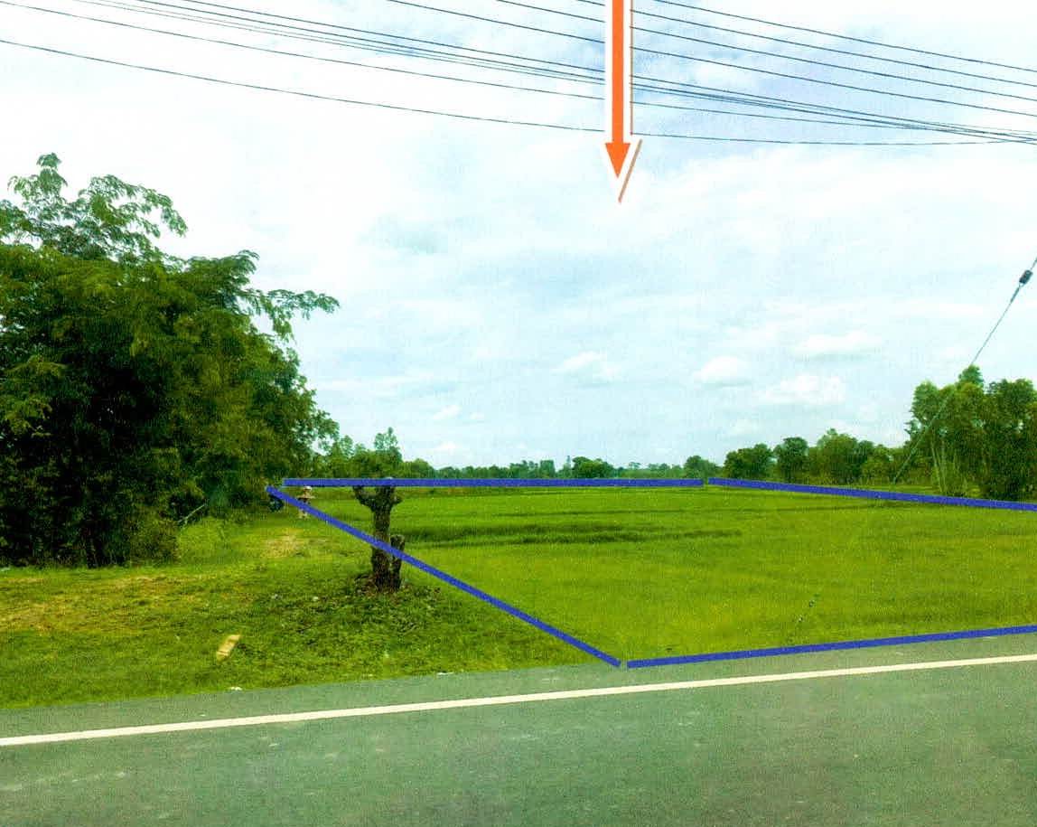 ขายทอดตลาด ที่ดินว่างเปล่า ต.สวาย อ.เมืองสุรินทร์ จ.สุรินทร์