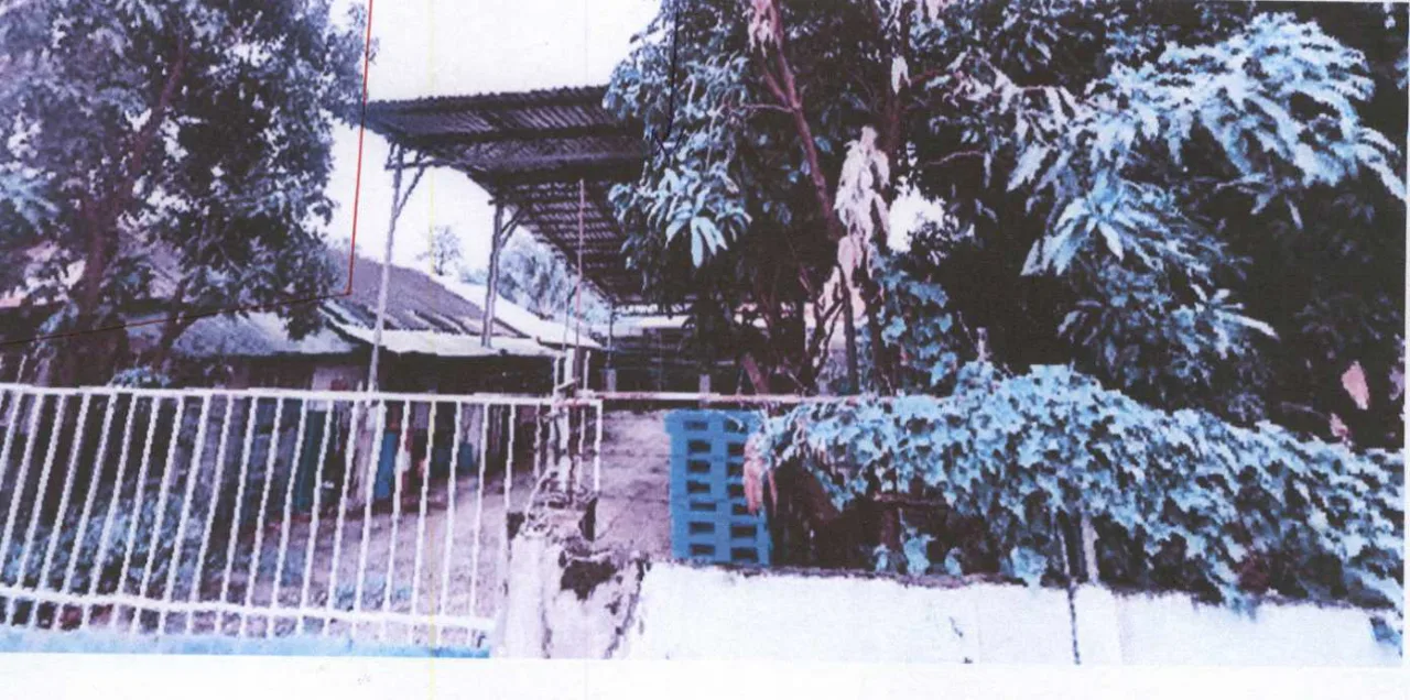 ขายทอดตลาด ที่ดินพร้อมสิ่งปลูกสร้าง ต.บ้านป่า อ.แก่งคอย จ.สระบุรี