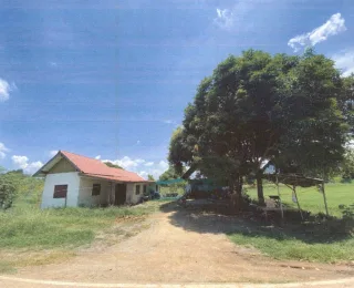 รูปทรัพย์ 2