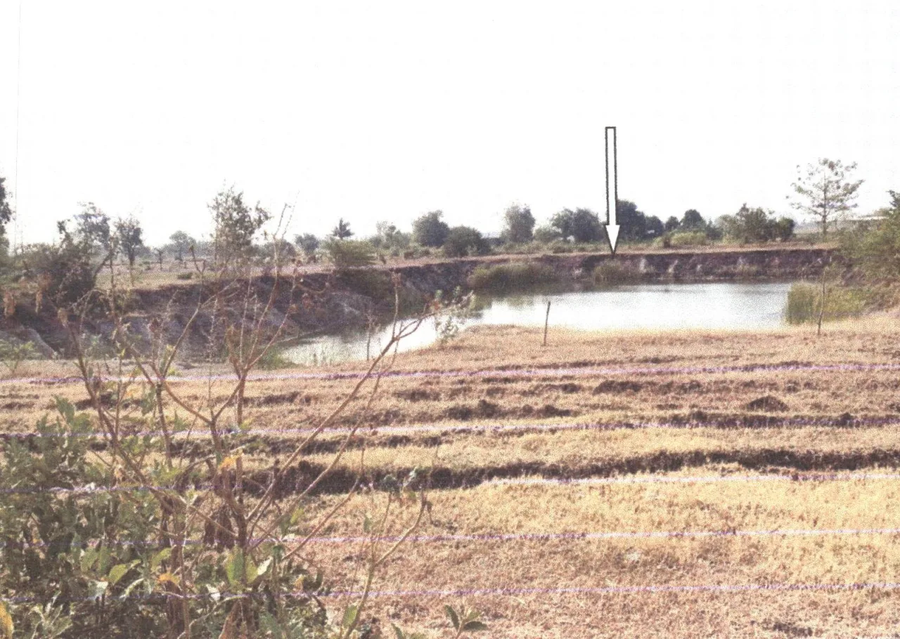 ขายทอดตลาด ที่ดินว่างเปล่า ต.บ้านกลับ อ.หนองโดน จ.สระบุรี