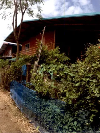 รูปทรัพย์ 1