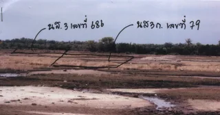 รูปทรัพย์ 2