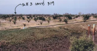 รูปทรัพย์ 5