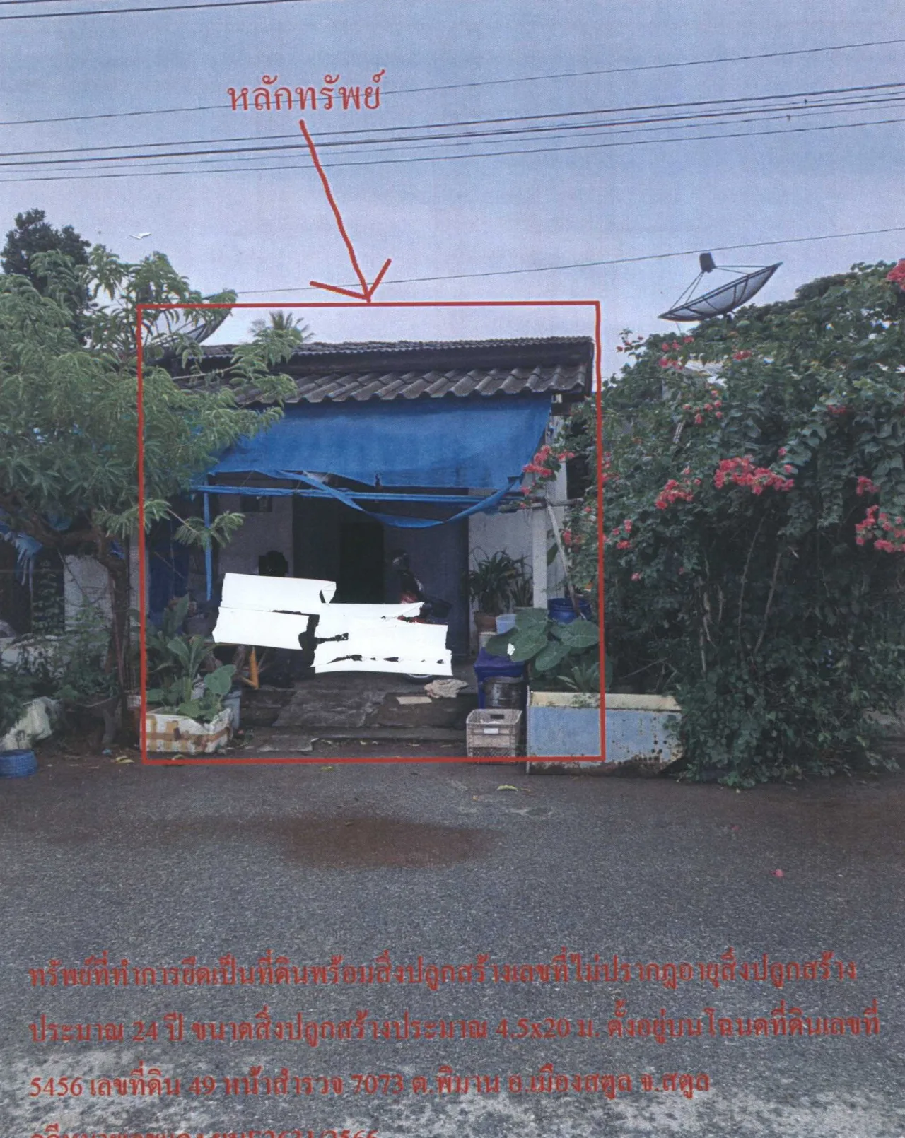 ขายทอดตลาด ที่ดินพร้อมสิ่งปลูกสร้าง ต.พิมาน อ.เมืองสตูล จ.สตูล