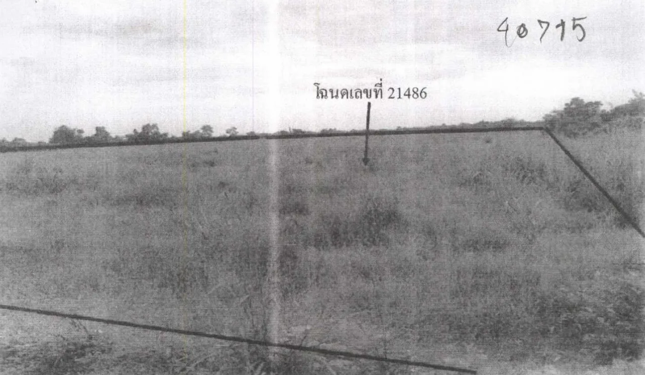 ขายทอดตลาด ที่ดินว่างเปล่า ต.หนองโรง อ.หนองแค จ.สระบุรี