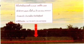 รูปทรัพย์ 2