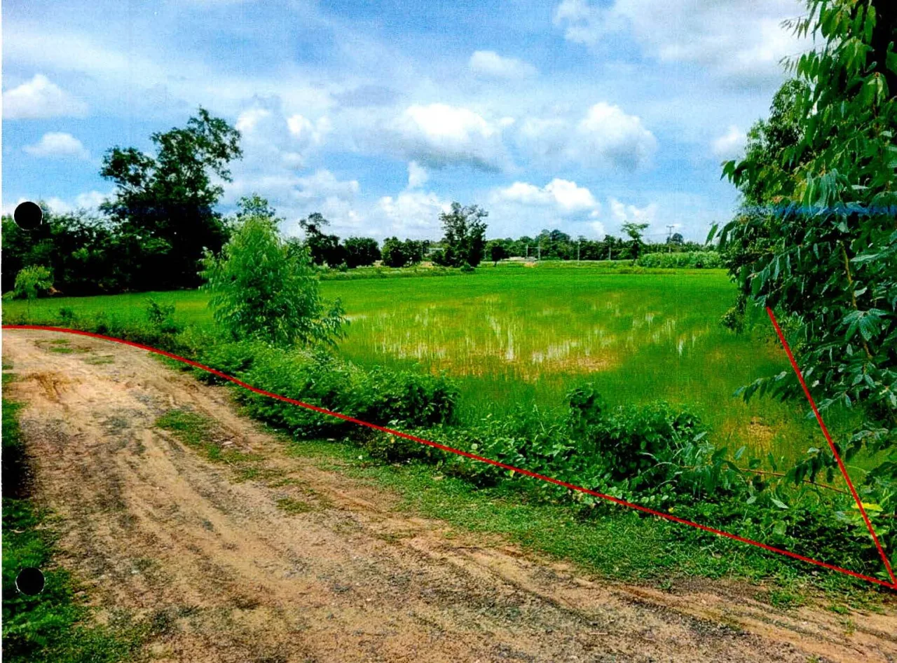 ขายทอดตลาด ที่ดินว่างเปล่า ต.กาบเชิง อ.กาบเชิง จ.สุรินทร์