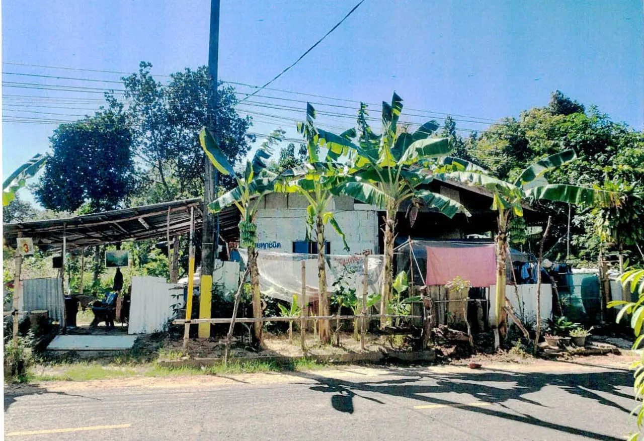 ขายทอดตลาด ที่ดินพร้อมสิ่งปลูกสร้าง ต.หนองสนิท อ.จอมพระ จ.สุรินทร์