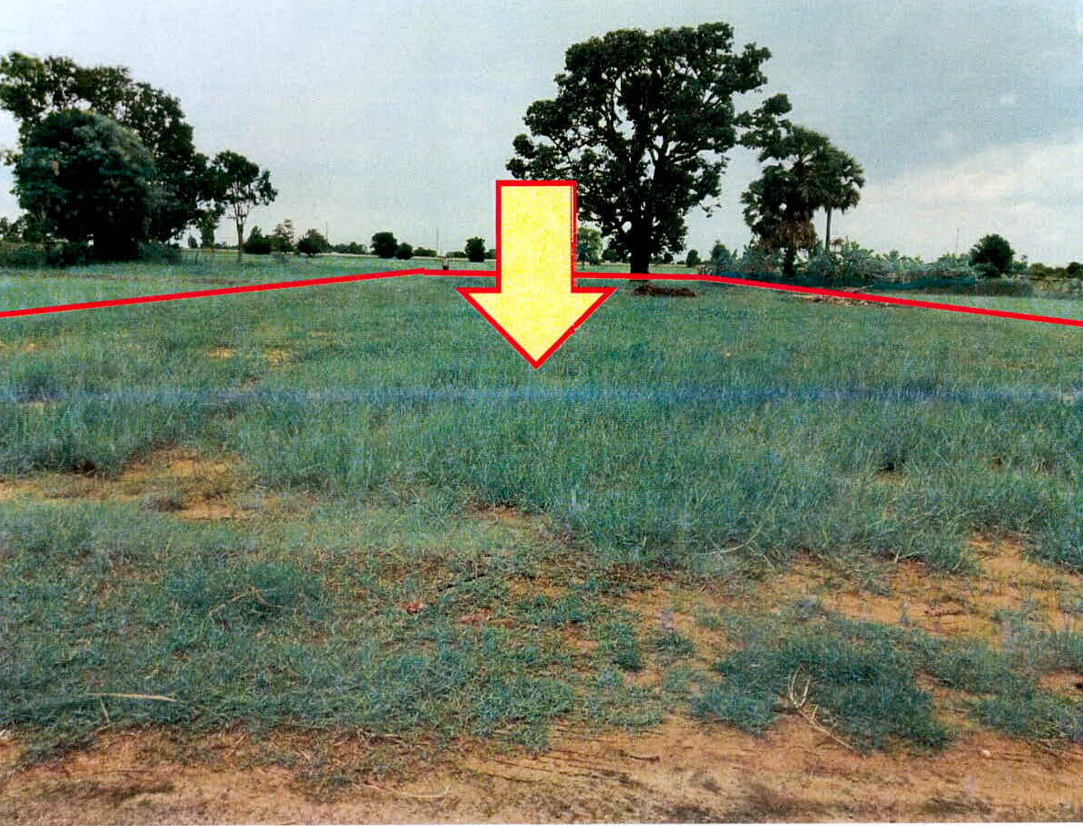 ขายทอดตลาด ที่ดินว่างเปล่า ต.ยาง อ.ศีขรภูมิ จ.สุรินทร์