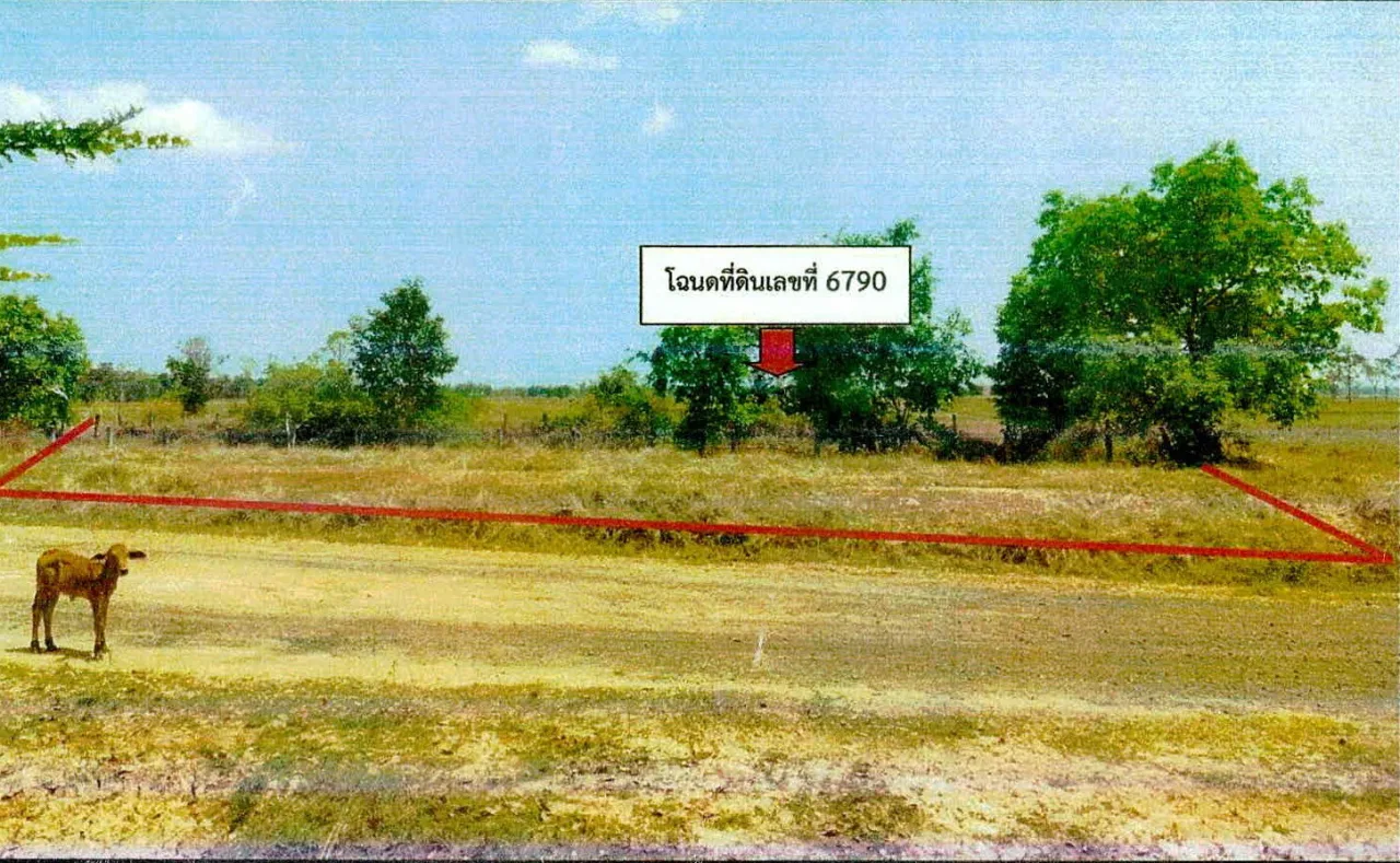 ขายทอดตลาด ที่ดินว่างเปล่า ต.ตรำดม อ.ลำดวน จ.สุรินทร์