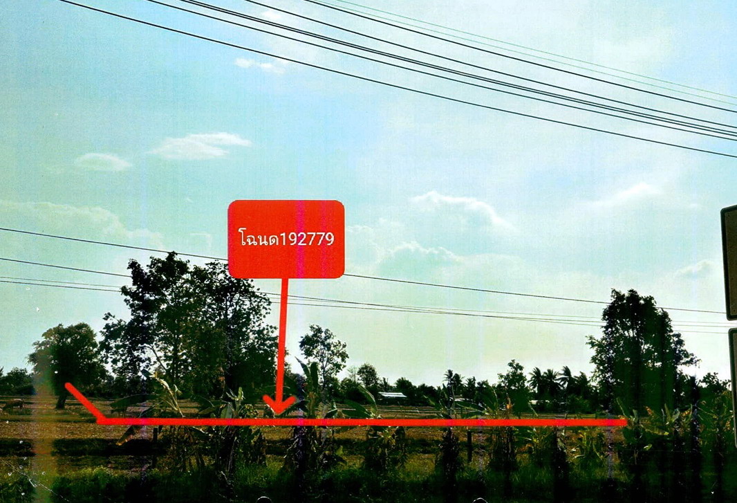 ขายทอดตลาด ที่ดินว่างเปล่า ต.คอโค อ.เมืองสุรินทร์ จ.สุรินทร์