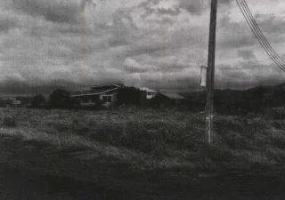 รูปทรัพย์ 1