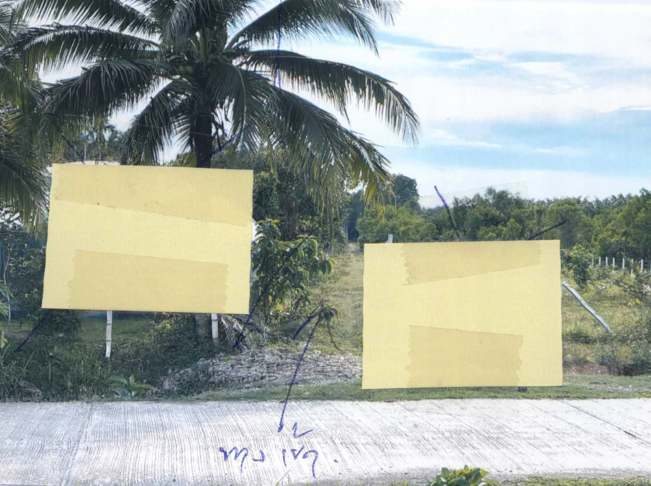 ขายทอดตลาด ที่ดินว่างเปล่า ต.คลองขุด อ.เมืองสตูล จ.สตูล