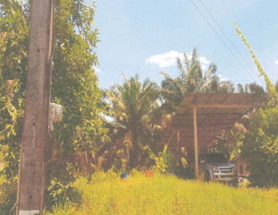ขายทอดตลาด ที่ดินพร้อมสิ่งปลูกสร้าง ต.นาทอน อ.ทุ่งหว้า จ.สตูล