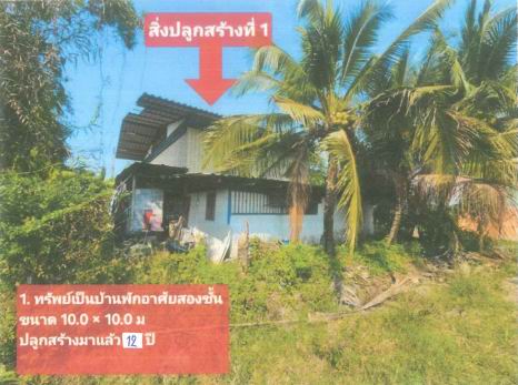 ขายทอดตลาด ที่ดินพร้อมสิ่งปลูกสร้าง ต.คลองตัน อ.บ้านแพ้ว จ.สมุทรสาคร
