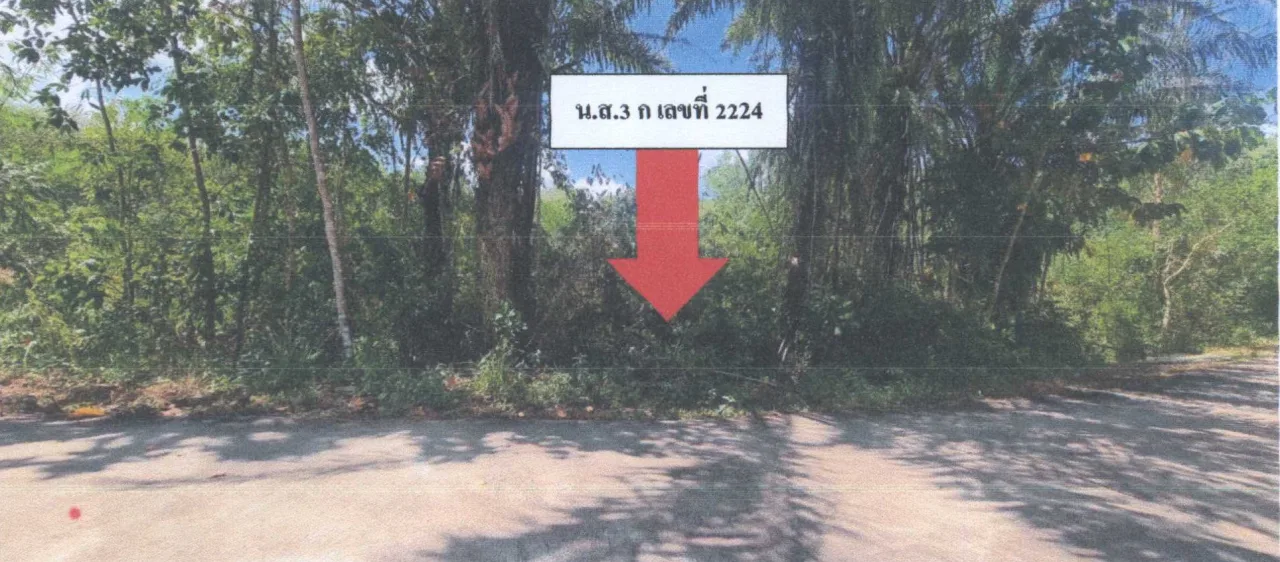 ขายทอดตลาด ที่ดินว่างเปล่า ต.ทุ่งหว้า อ.ทุ่งหว้า จ.สตูล