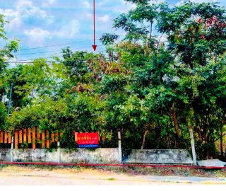 รูปทรัพย์ 1