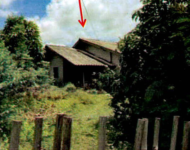 ขายทอดตลาด ที่ดินพร้อมสิ่งปลูกสร้าง ต.นาบัว อ.เมืองสุรินทร์ จ.สุรินทร์