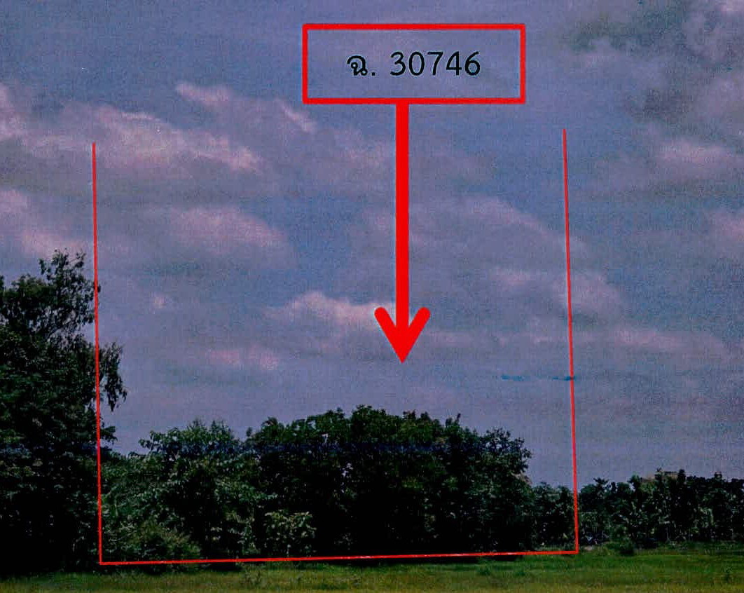 ขายทอดตลาด ที่ดินว่างเปล่า ต.บุแกรง อ.จอมพระ จ.สุรินทร์