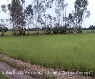 รูปทรัพย์ 1