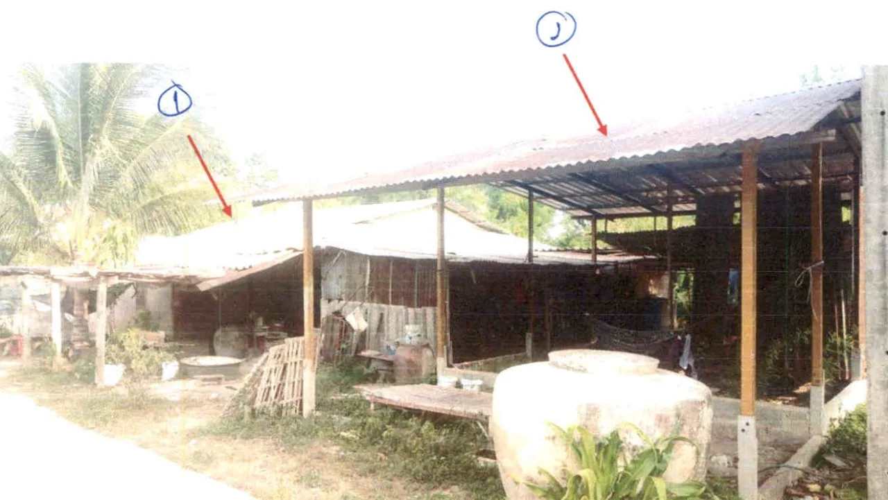 ขายทอดตลาด ที่ดินพร้อมสิ่งปลูกสร้าง ต.บ้านลำ อ.วิหารแดง จ.สระบุรี