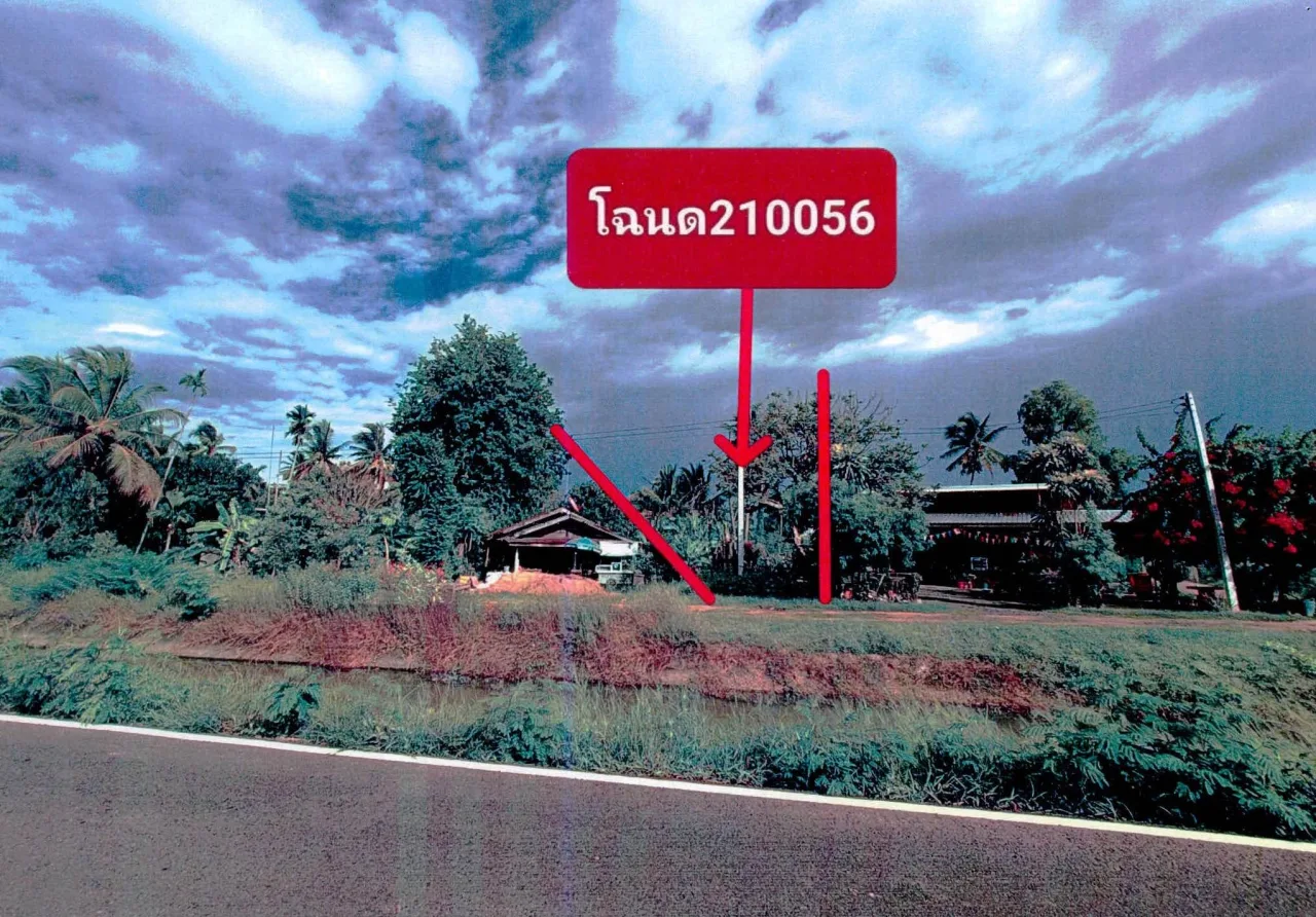 ขายทอดตลาด ที่ดินว่างเปล่า ต.คอโค อ.เมืองสุรินทร์ จ.สุรินทร์