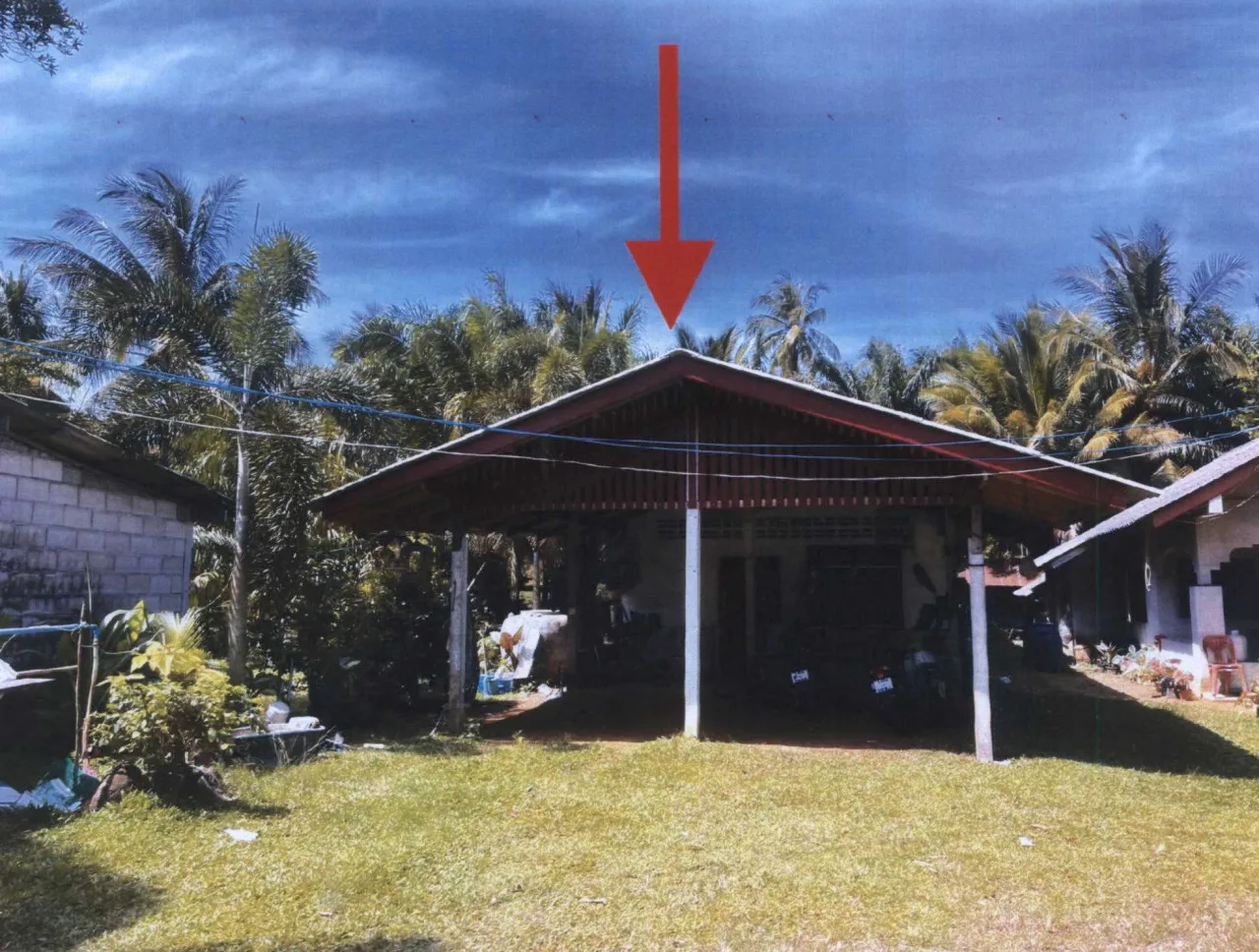 ขายทอดตลาด ที่ดินพร้อมสิ่งปลูกสร้าง ต.แหลมสน อ.ละงู จ.สตูล