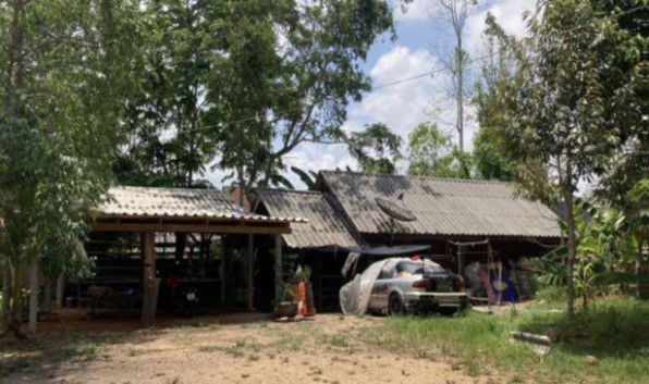 ขายทอดตลาด ที่ดินพร้อมสิ่งปลูกสร้าง ต.คลองขุด อ.เมืองสตูล จ.สตูล
