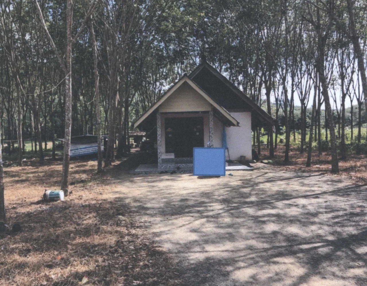 ขายทอดตลาด ที่ดินพร้อมสิ่งปลูกสร้าง ต.นาทอน อ.ทุ่งหว้า จ.สตูล