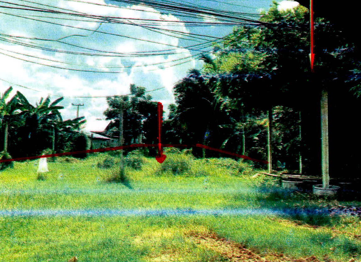 ขายทอดตลาด ที่ดินพร้อมสิ่งปลูกสร้าง ต.ท่าสว่าง อ.เมืองสุรินทร์ จ.สุรินทร์