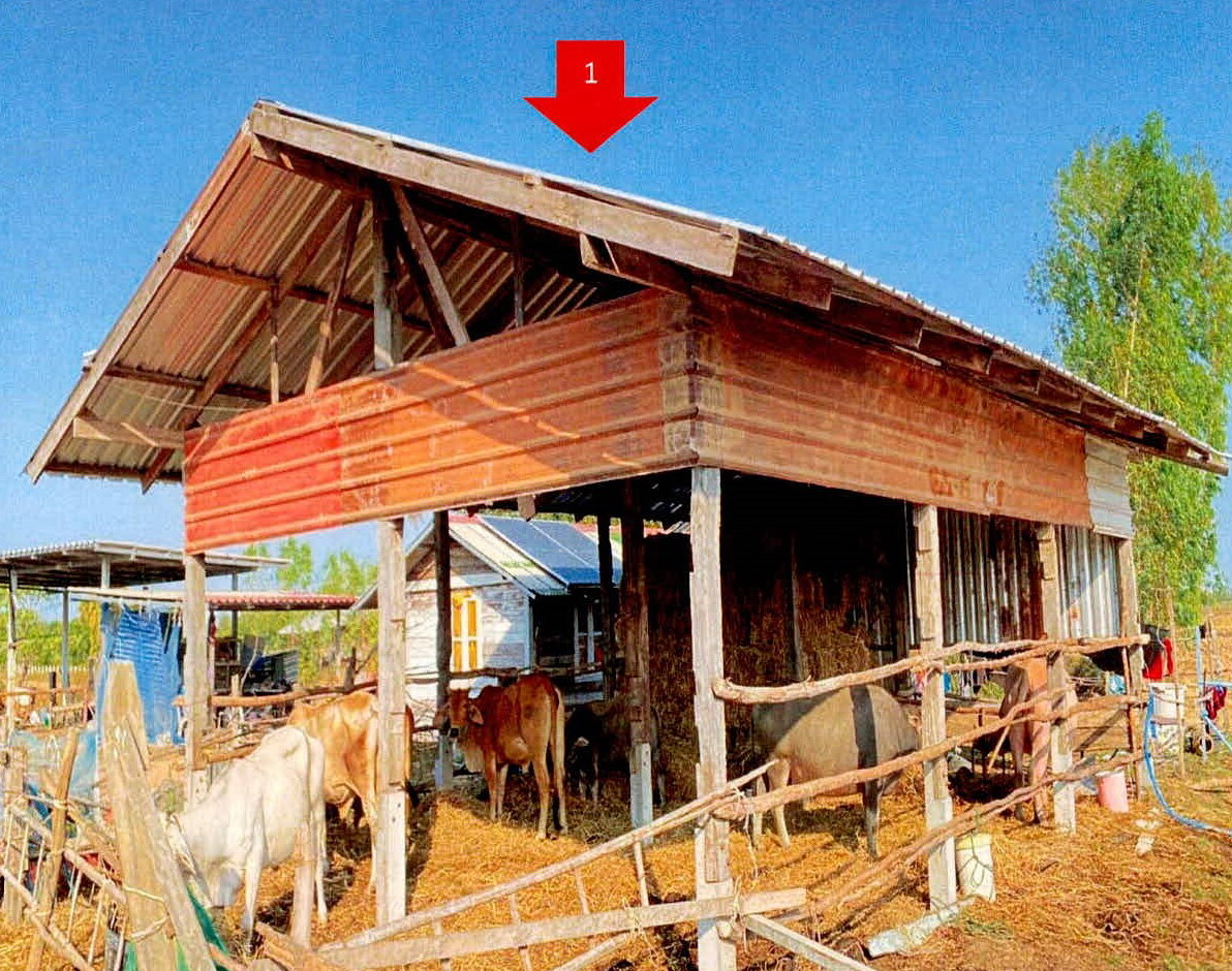 ขายทอดตลาด ที่ดินพร้อมสิ่งปลูกสร้าง ต.หนองขวาว อ.ศีขรภูมิ จ.สุรินทร์