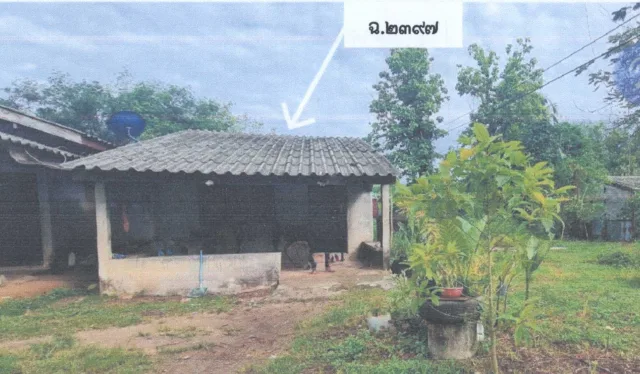 ขายทอดตลาด ที่ดินพร้อมสิ่งปลูกสร้าง ต.ทุ่งหว้า อ.ทุ่งหว้า จ.สตูล