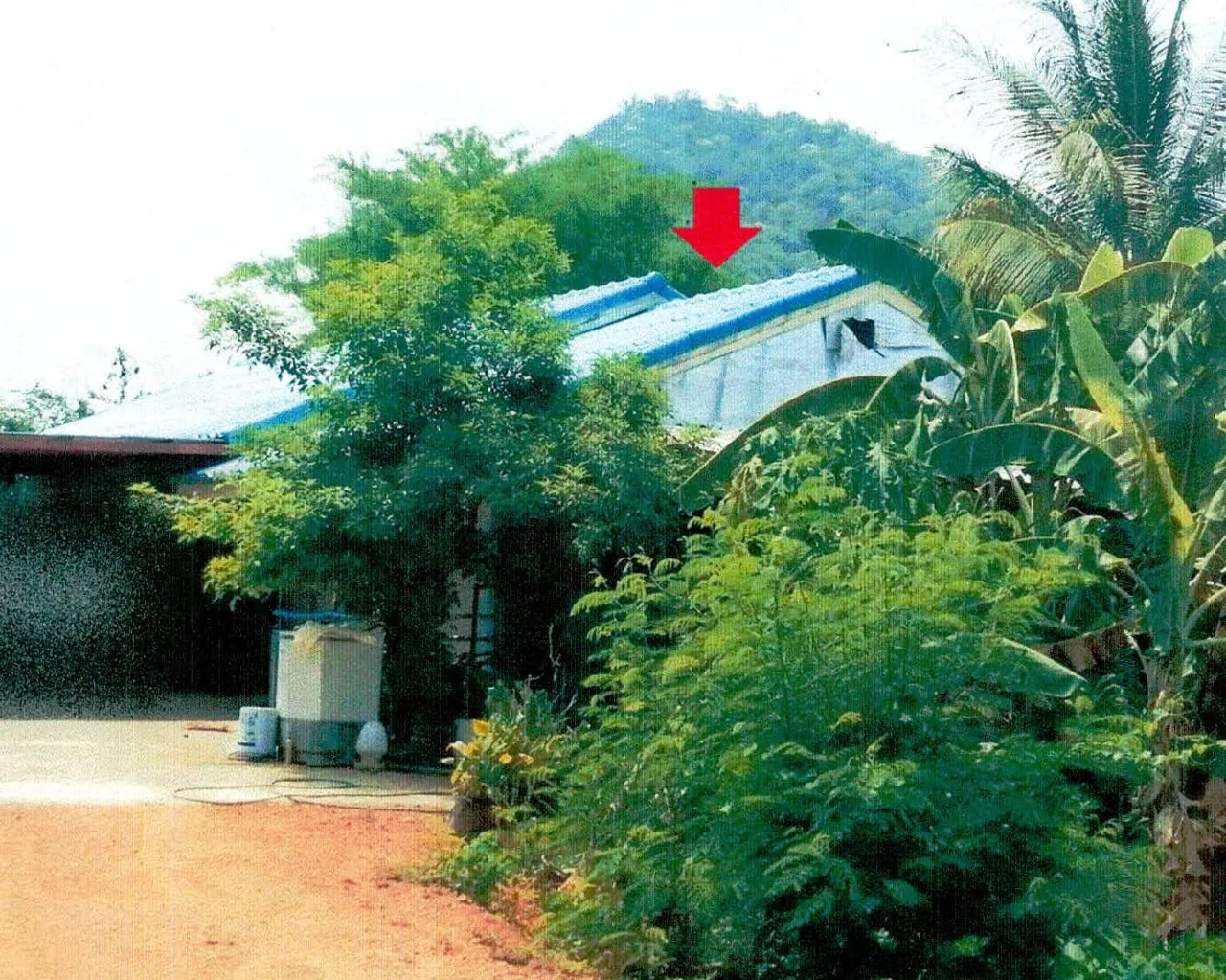 ขายทอดตลาด ที่ดินพร้อมสิ่งปลูกสร้าง ต.แสลงพัน อ.วังม่วง จ.สระบุรี