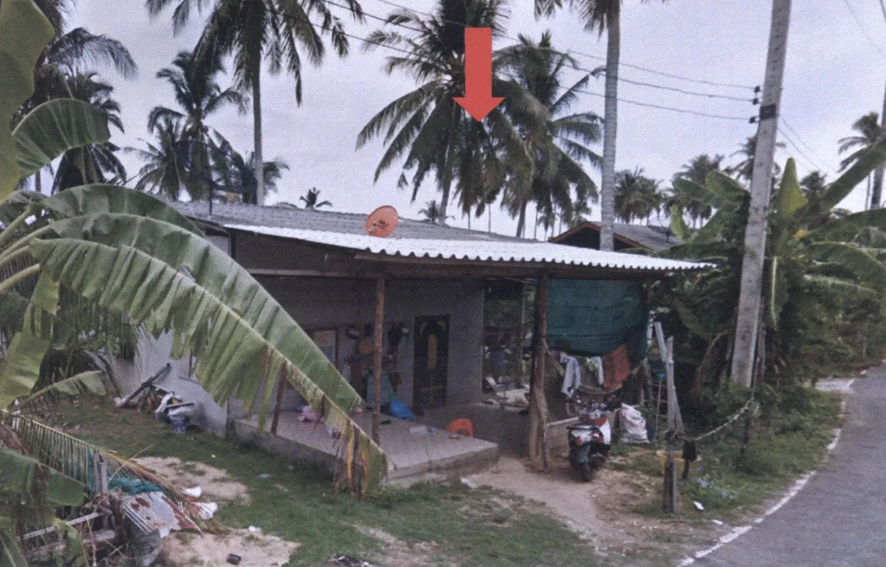 ขายทอดตลาด ที่ดินพร้อมสิ่งปลูกสร้าง ต.แหลมสน อ.ละงู จ.สตูล
