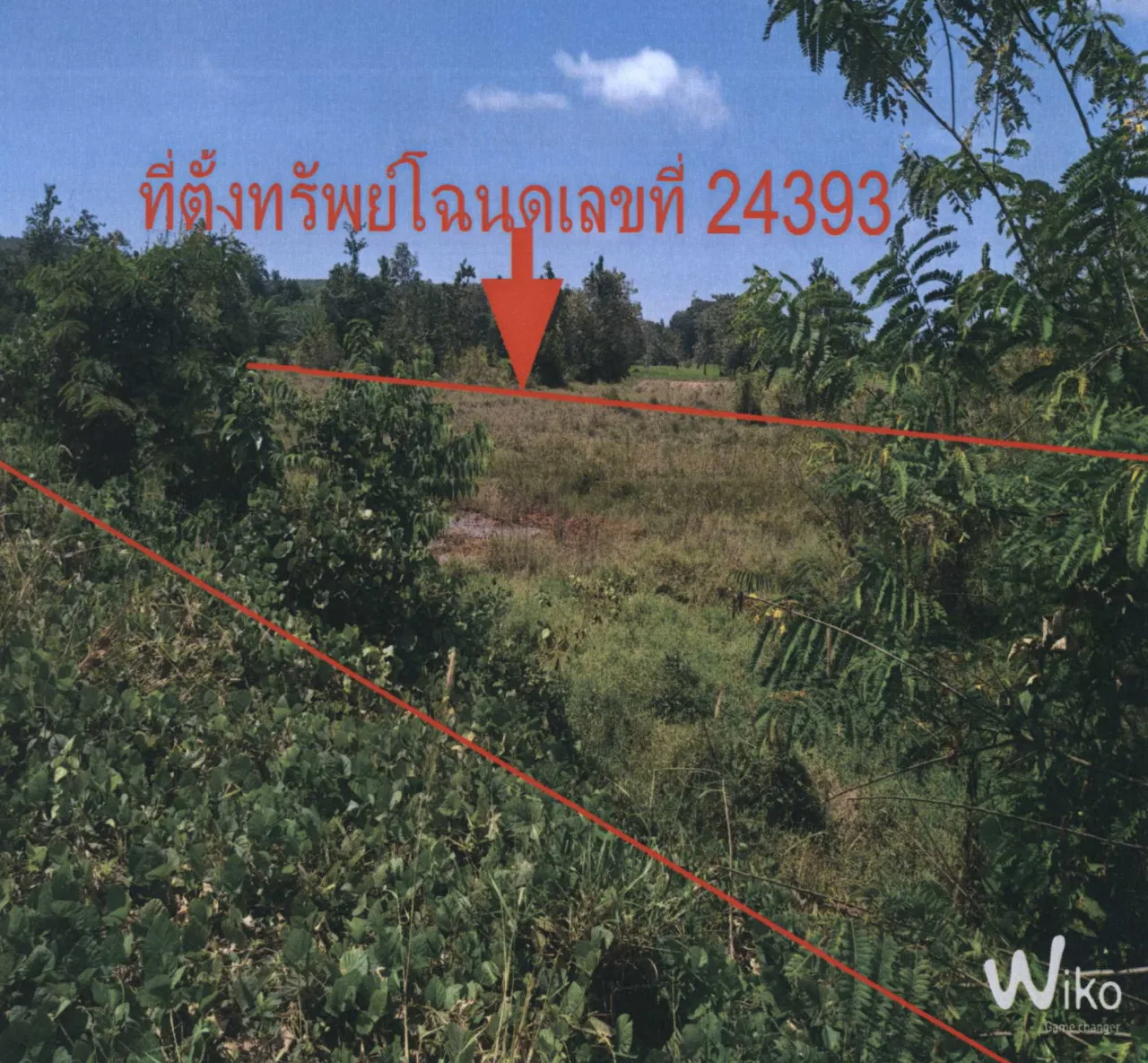 ขายทอดตลาด ที่ดินว่างเปล่า ต.กำแพง อ.ละงู จ.สตูล