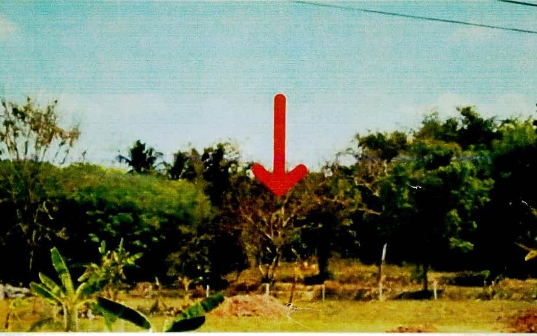 ขายทอดตลาด ที่ดินว่างเปล่า ต.เทพรักษา อ.สังขะ จ.สุรินทร์