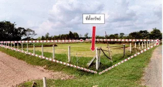 รูปทรัพย์ 2