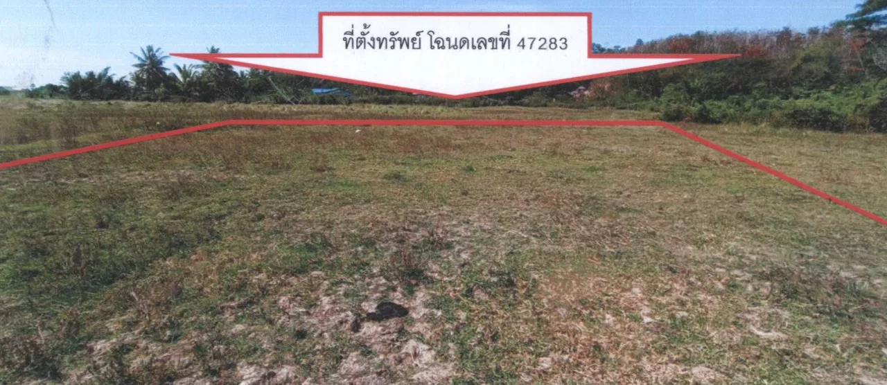 ขายทอดตลาด ที่ดินว่างเปล่า ต.ปูยู อ.เมืองสตูล จ.สตูล