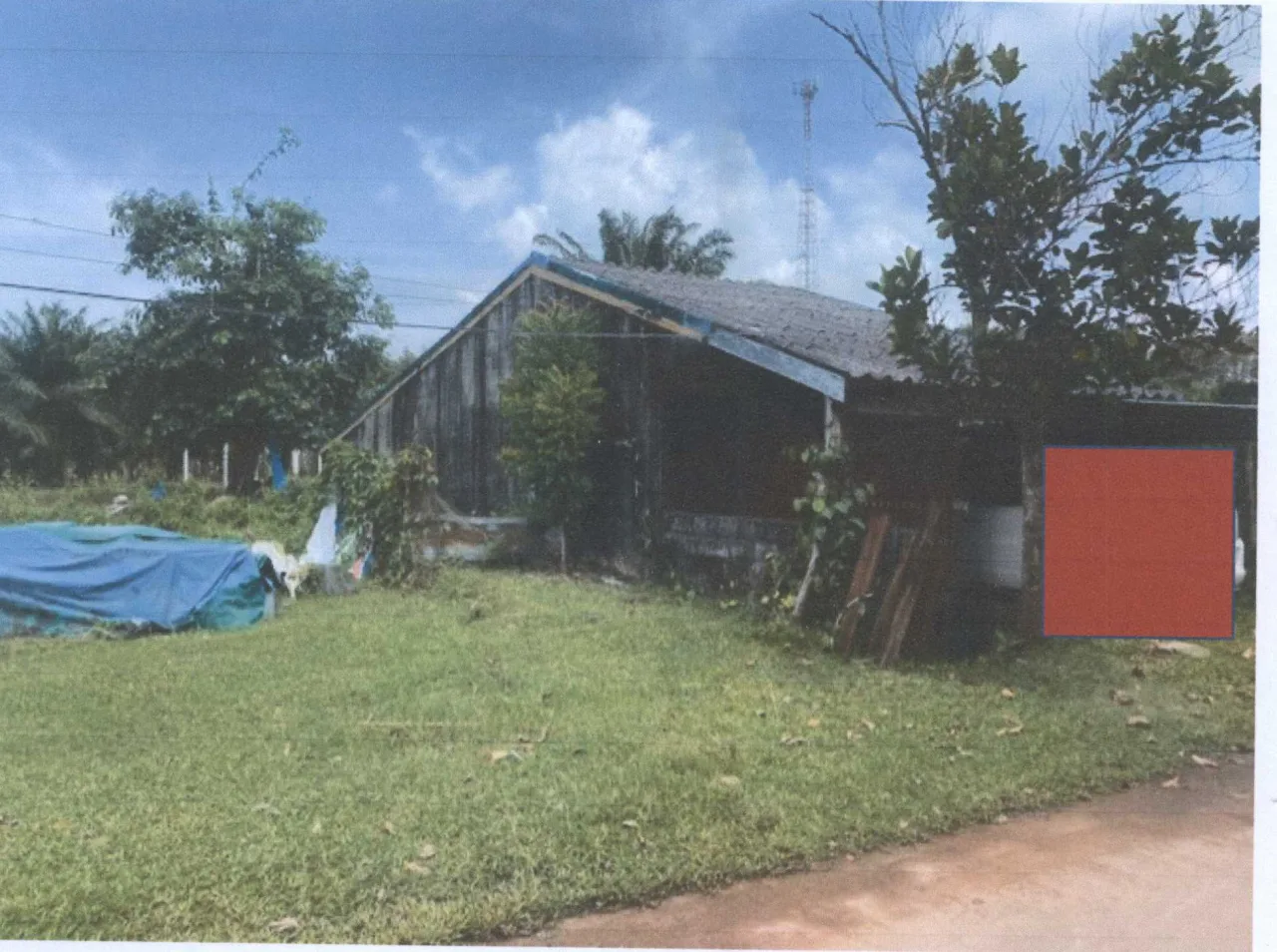ขายทอดตลาด ที่ดินพร้อมสิ่งปลูกสร้าง ต.ทุ่งหว้า อ.ทุ่งหว้า จ.สตูล
