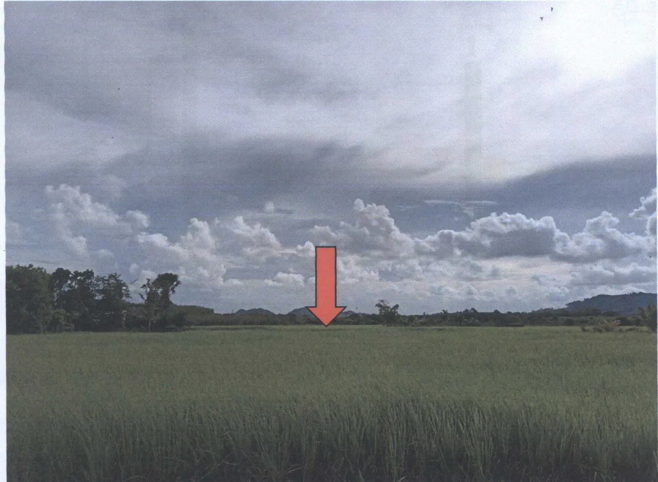 ขายทอดตลาด ที่ดินว่างเปล่า ต.บ้านควน อ.เมืองสตูล จ.สตูล