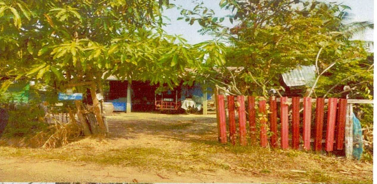 ขายทอดตลาด ที่ดินพร้อมสิ่งปลูกสร้าง ต.บ้านไทร อ.ปราสาท จ.สุรินทร์