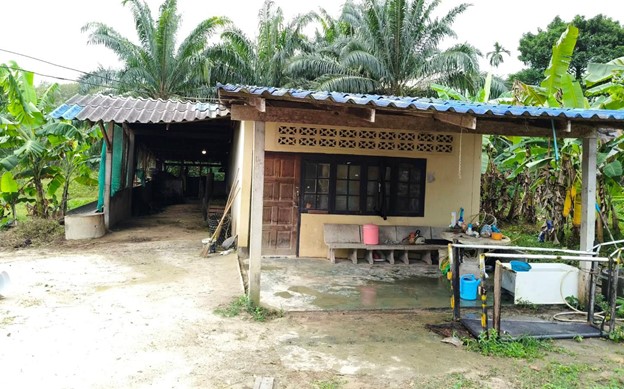 ขายทอดตลาด ที่ดินพร้อมสิ่งปลูกสร้าง ต.คลองขุด อ.เมืองสตูล จ.สตูล