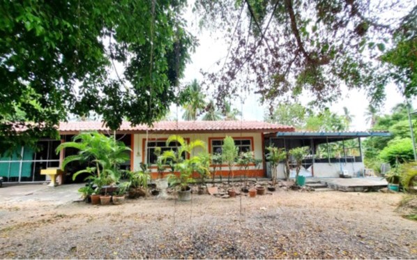 ขายทอดตลาด ที่ดินพร้อมสิ่งปลูกสร้าง ต.พิมาน อ.เมืองสตูล จ.สตูล