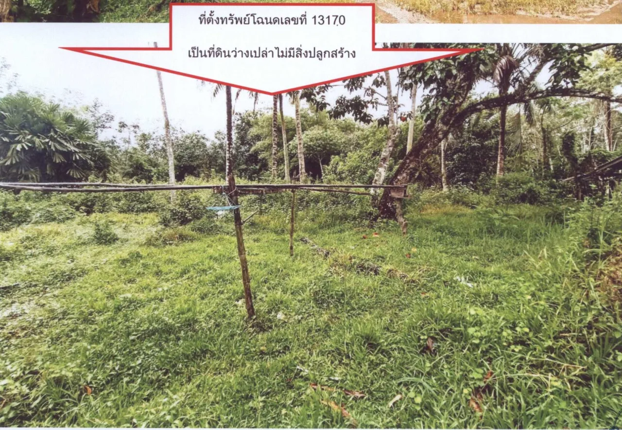 ขายทอดตลาด ที่ดินว่างเปล่า ต.ทุ่งนุ้ย อ.ควนกาหลง จ.สตูล