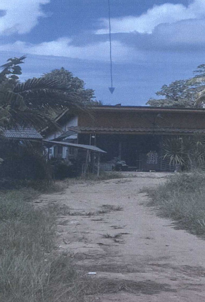 ขายทอดตลาด ที่ดินพร้อมสิ่งปลูกสร้าง ต.คลองขุด อ.เมืองสตูล จ.สตูล